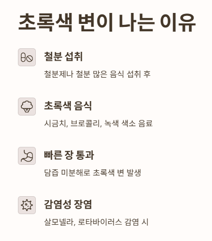 초록색 변이 나는 이유