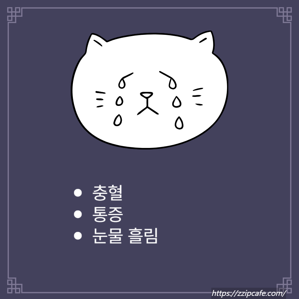 눈 이물감
