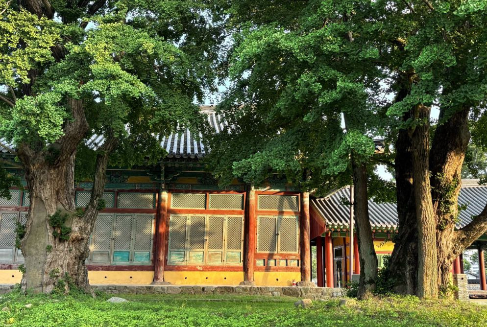 금성관