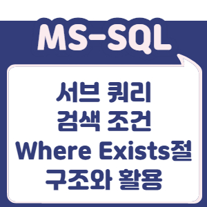 대표 이미지