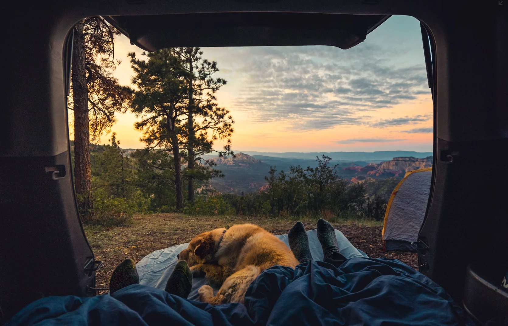 캠핑장 예약 사이트 및 추천 앱
