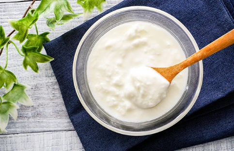 요구르트 요거트.