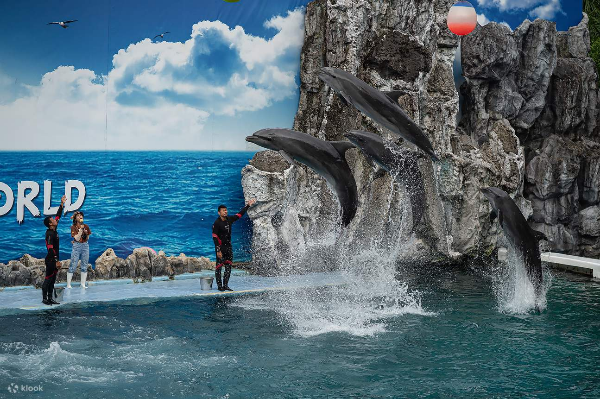 방콕 사파리 월드