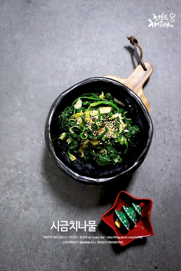 사철나물 재배 상자 텃밭 초보 가능 물 관리_2