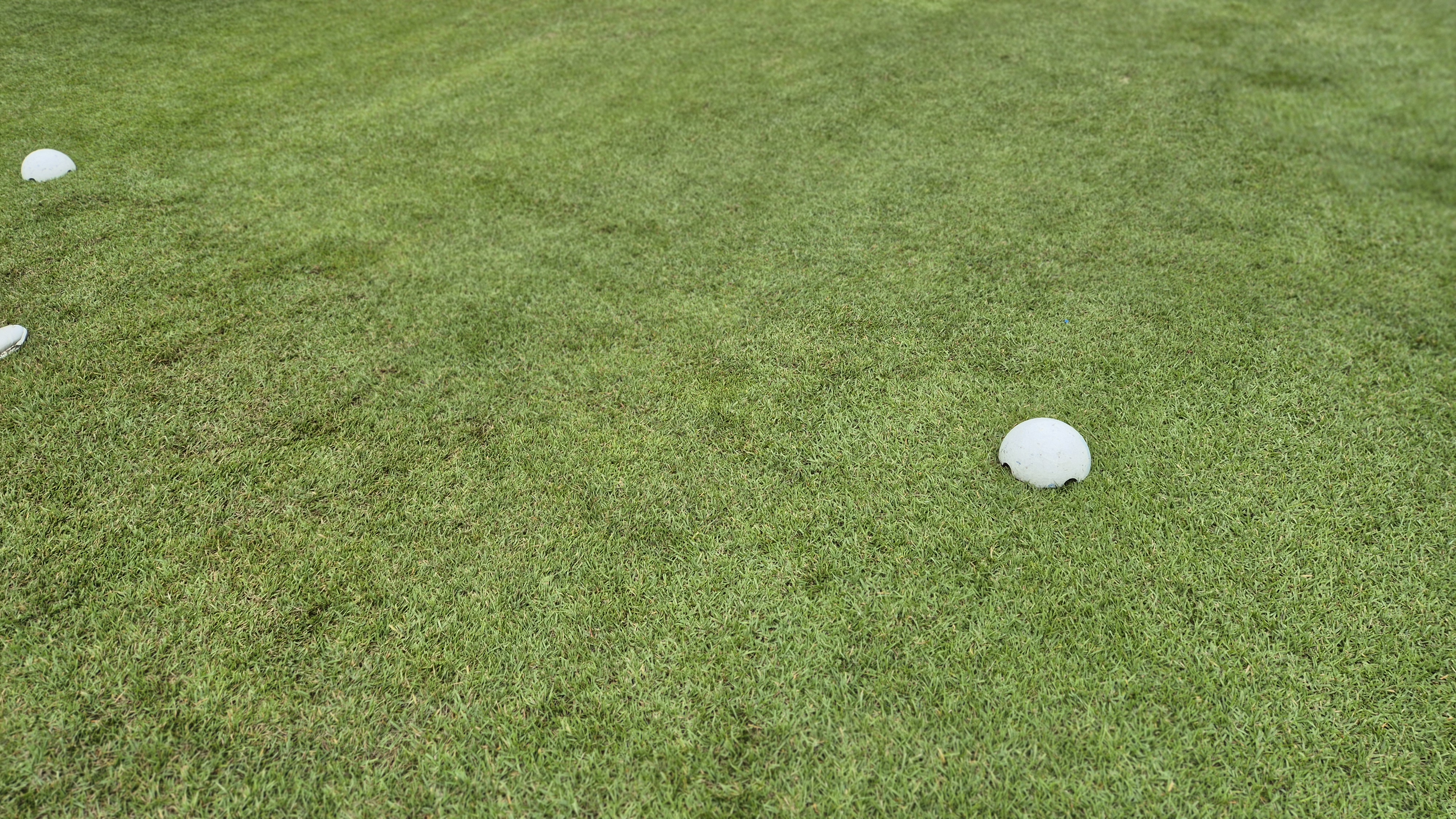 서산수cc 티잉구역 상태