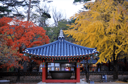 단풍과 함께 즐기는 사찰 여행지 추천 5선_충북 속리산 법주사