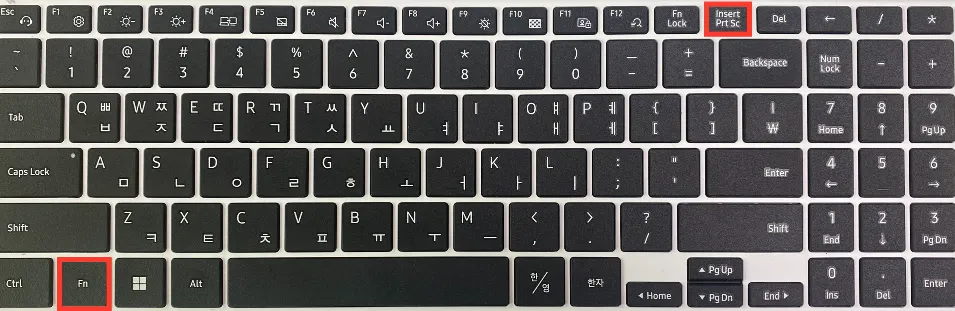 프린트스크린키 캡쳐