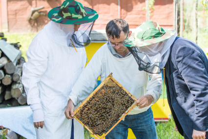 도심 벌집 제거 전문가 – 야경보다 무서운 밤의 꿀벌 사냥꾼