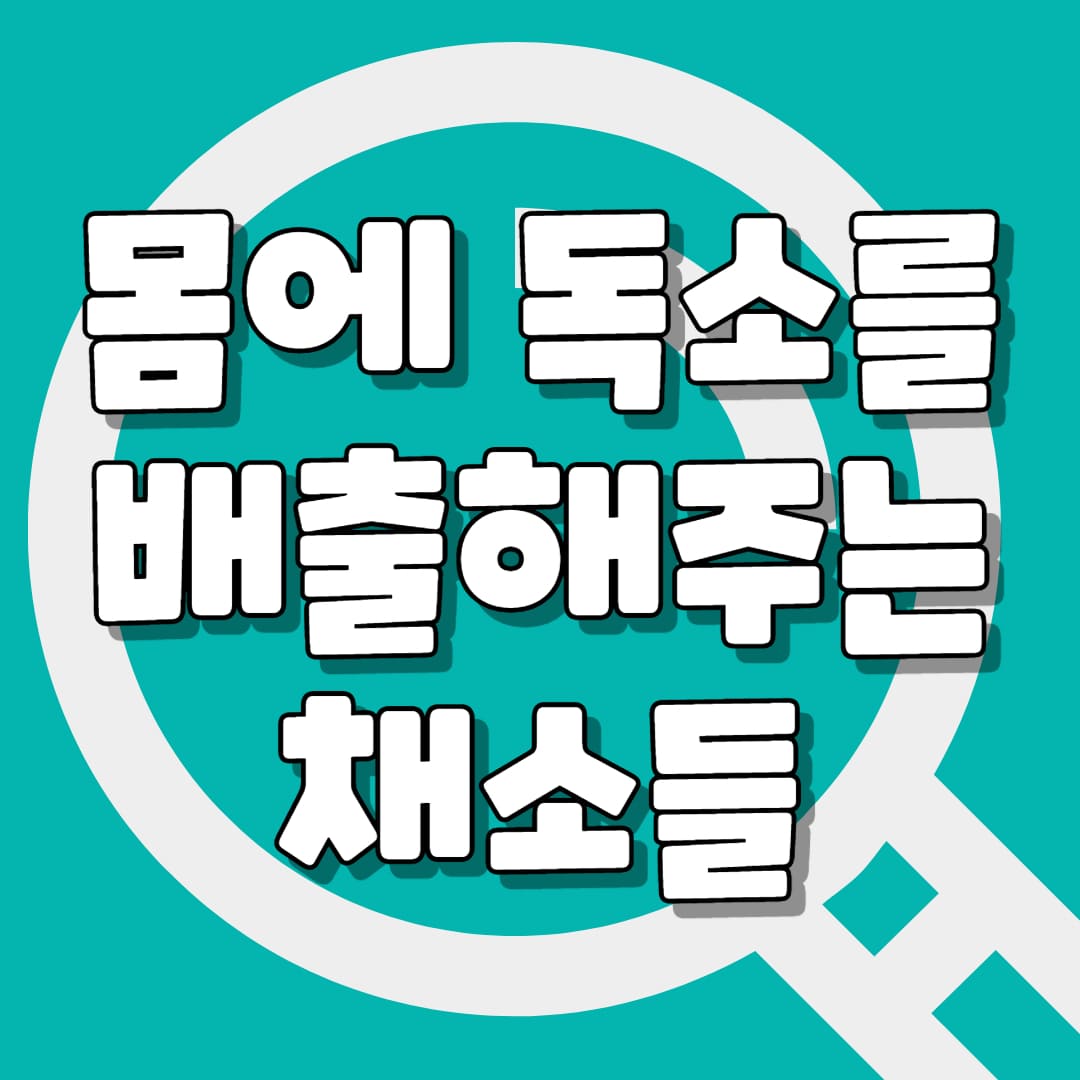 독소배출 채소