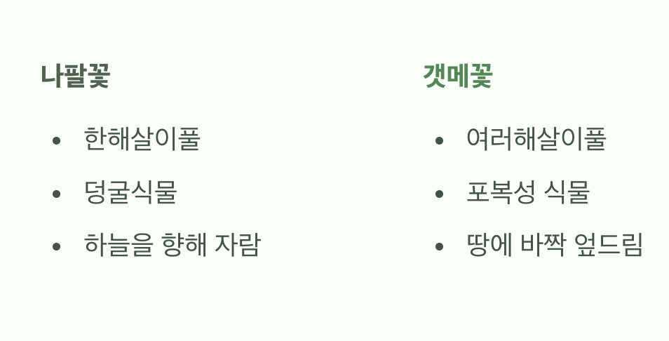 나팔꽃을 닮은, 그러나 다른 운명