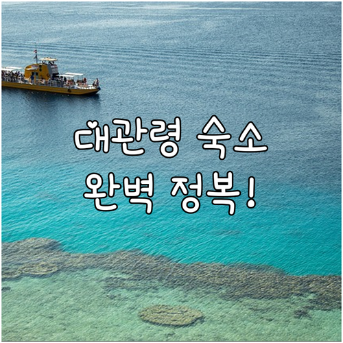 평창 대관령 숙소 정복하기 아파트먼트..