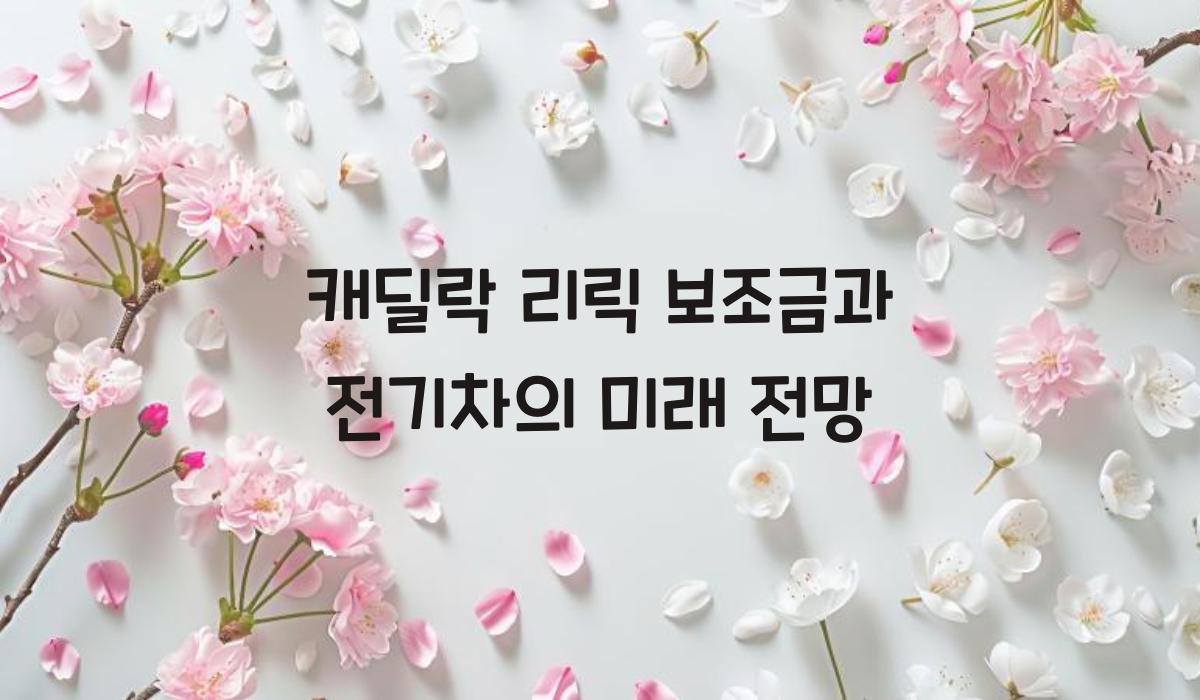 캐딜락 리릭 보조금​