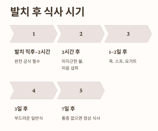 사랑니 발치 후 식사 언제부터