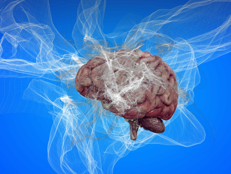 파란 배경의 뇌와 얽힌 흰 메시 스마트폰 과사용으로 인한 뇌 변화 상징