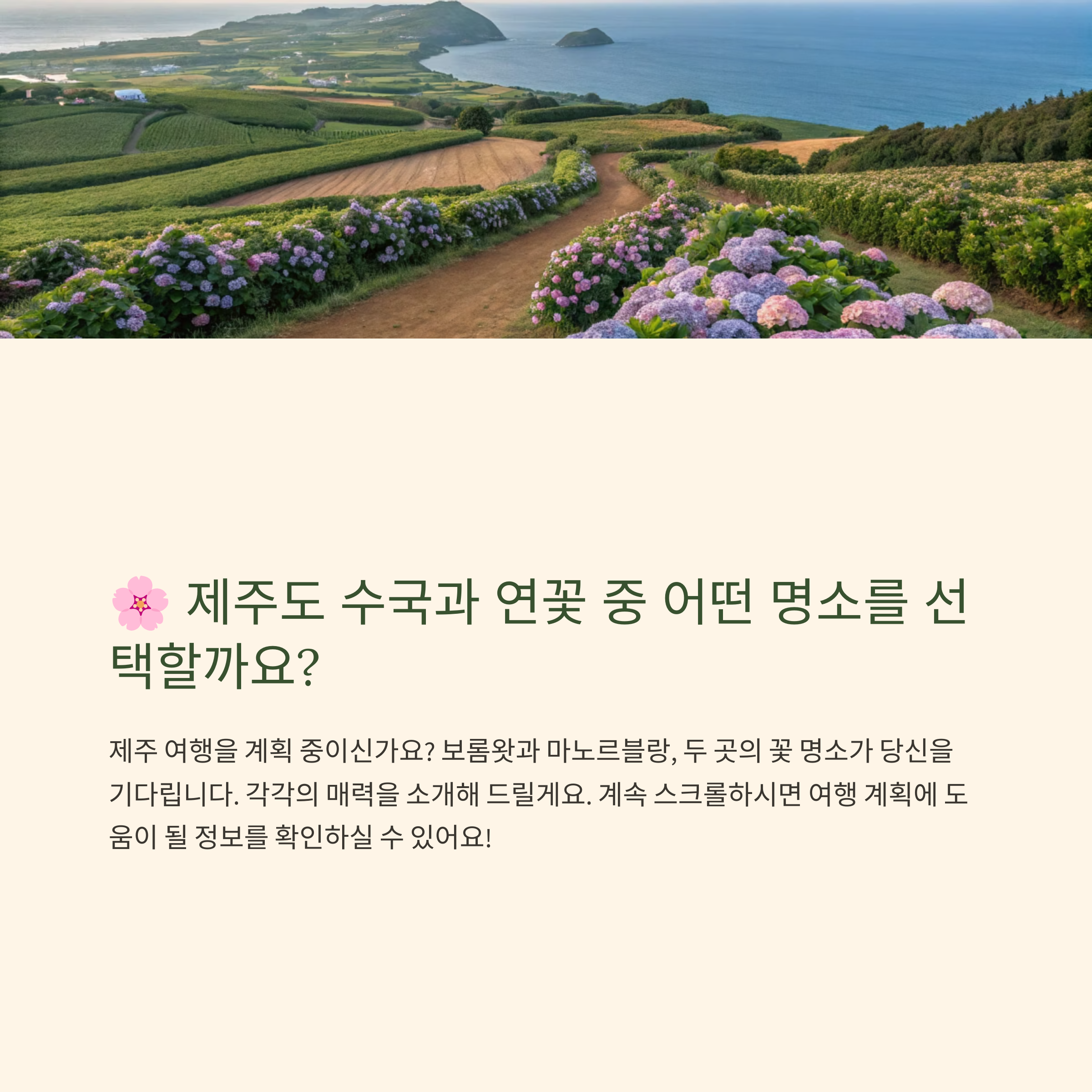 제주 연꽃과 수국, 어디가 더 예쁠까? (보롬왓 vs 마노르블랑)