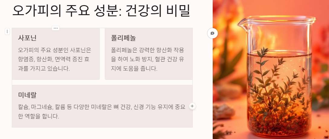 오가피 효능과 요리 방법