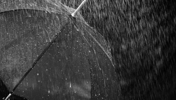 장대비가 내리는 가운데 검은색 우산 위로 쏟아지는 빗줄기를 흑백으로 촬영한 이미지. 장마철 강한 폭우와 비바람을 상징하는 장면.