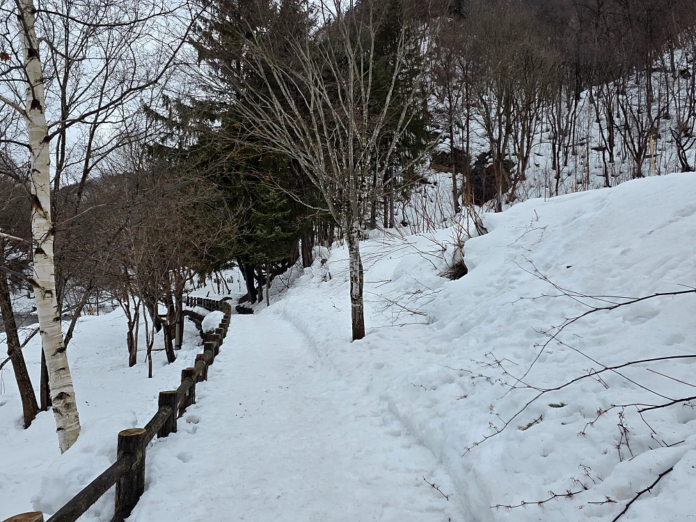 후타미 공원 쓰리교 산책길 10