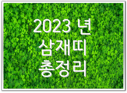 2023 삼재띠