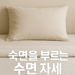 숙면을 위한 완벽한 수면 자세