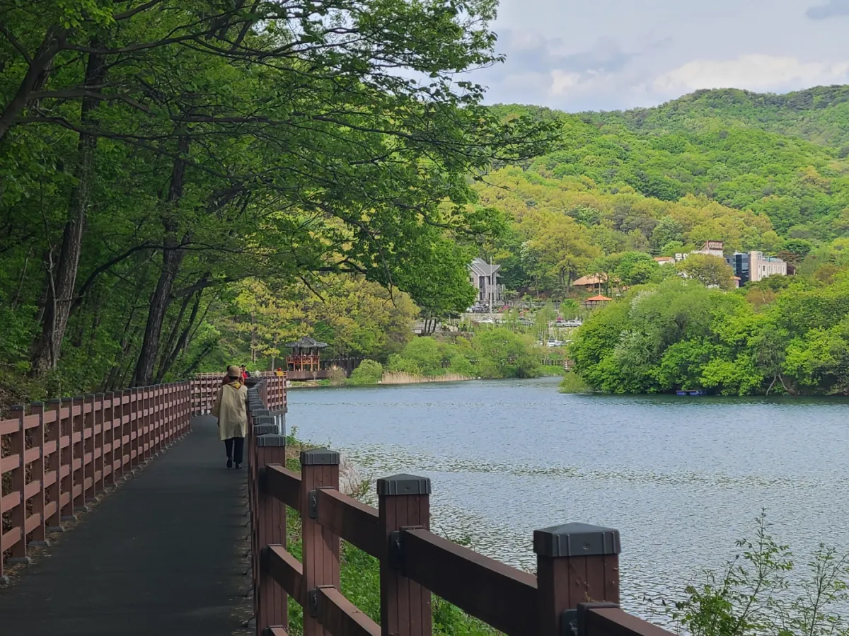 길게뻗은-나무데크-푸른호수와-무성한녹색빛나무들