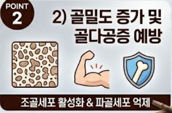 마가목 효능