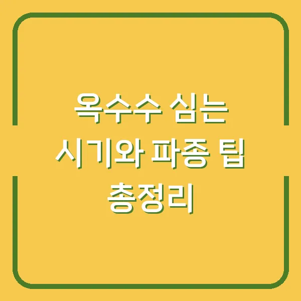 옥수수 심는 시기와 파종 팁 총정리
