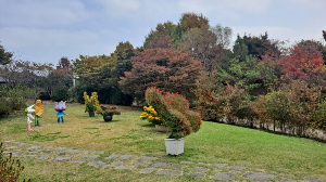 화성_우리꽃식물원_국화전시회