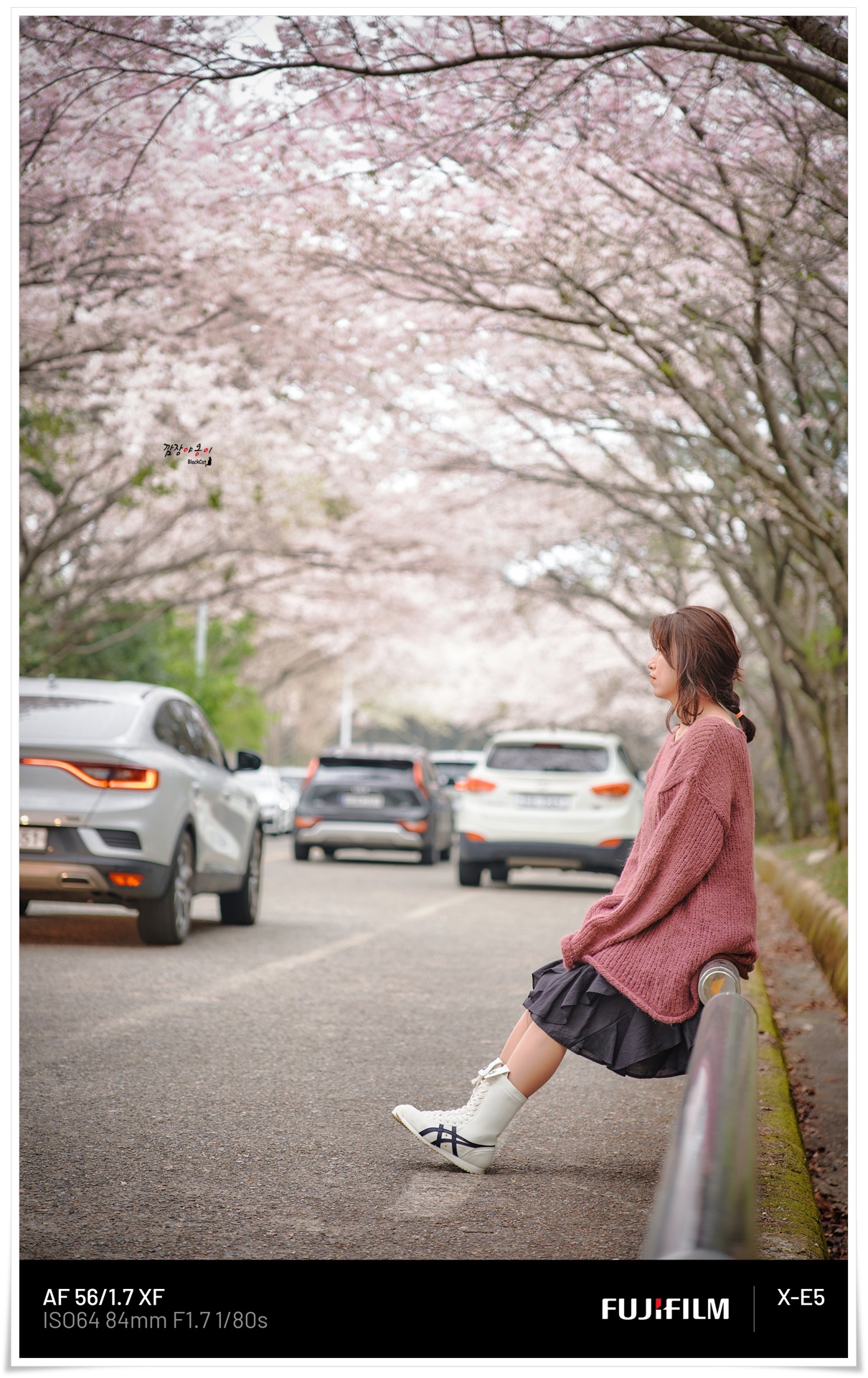 황령산 벚꽃길 프사