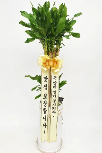 개업 축하 인사 화분 카드 문구 번창 기원 덕담 센스 있게_21