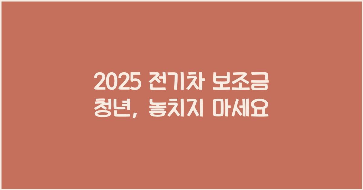 2025 전기차 보조금 청년