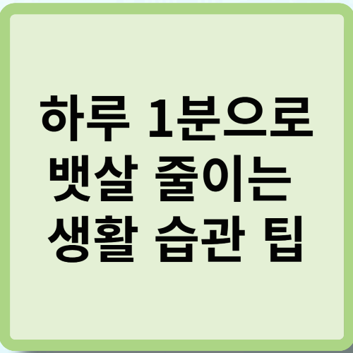 하루 1분으로 뱃살 줄이는 생활 습관 팁