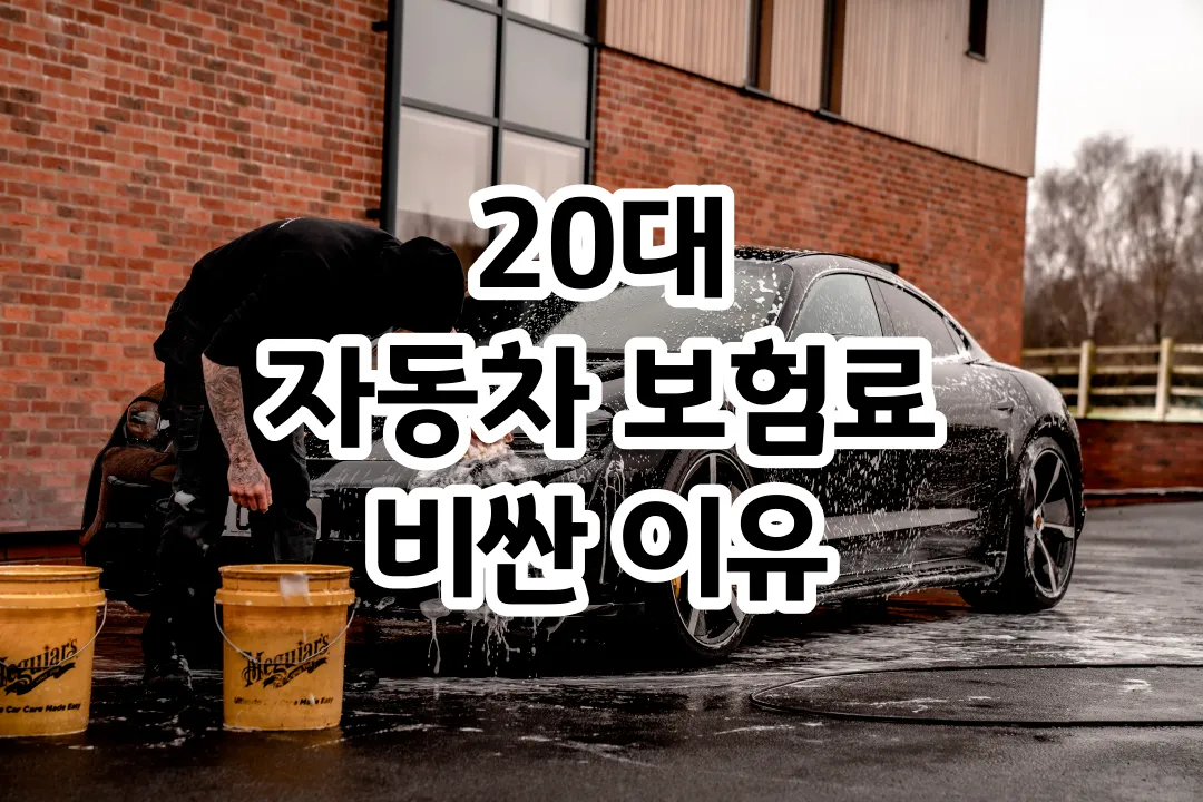 20대 자동차 보험료 비싼 이유