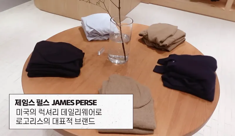 홍진경 제임스 펄스, 홍진경 티셔츠, 제임스 펄스 리뷰, 유니클로 대체 브랜드, 부자들의 유니클로, 기본티 명품, 수피마 코튼 티셔츠 추천, 기본티 추천, 유니클로 제임스 펄스