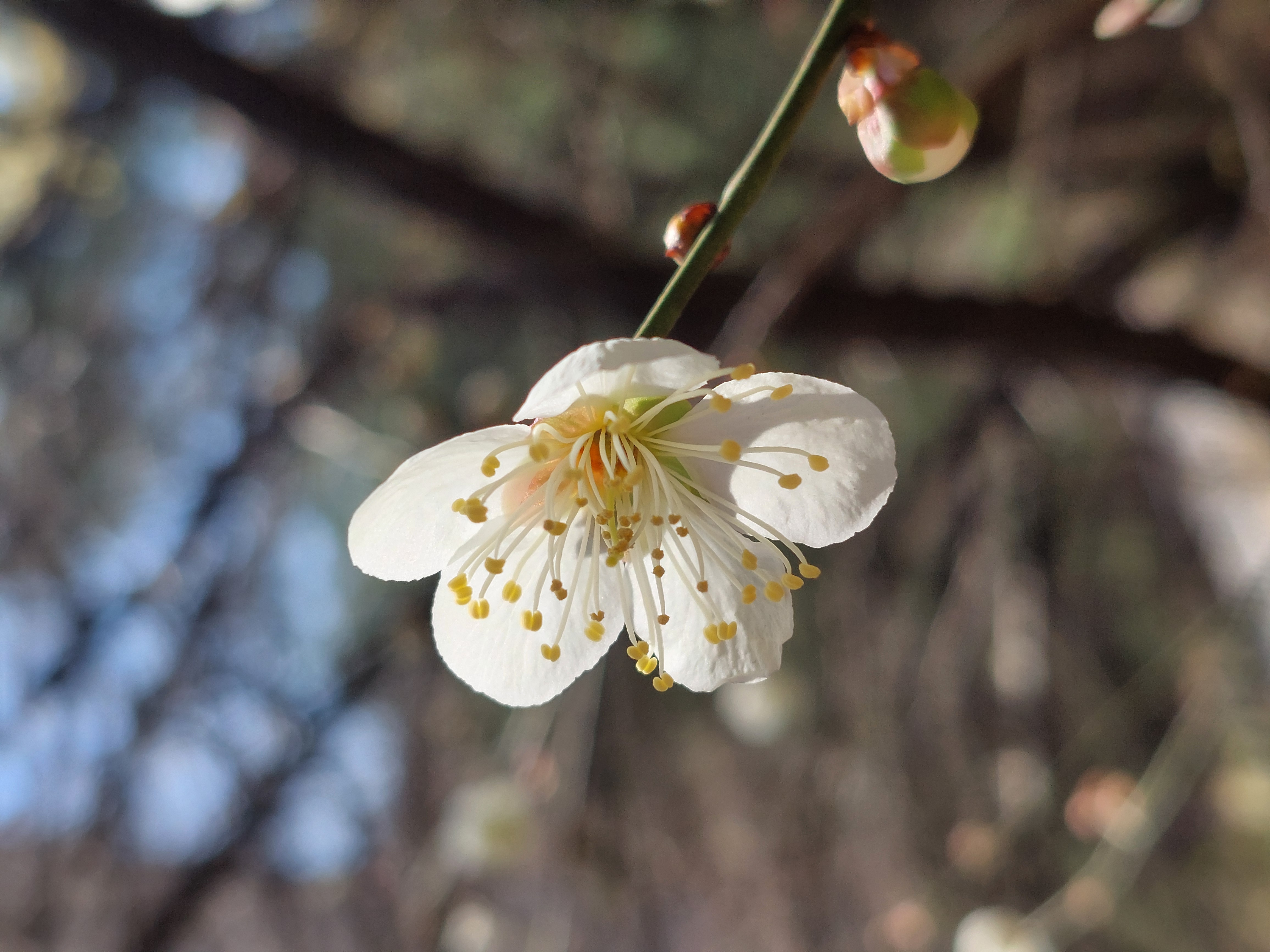 안산