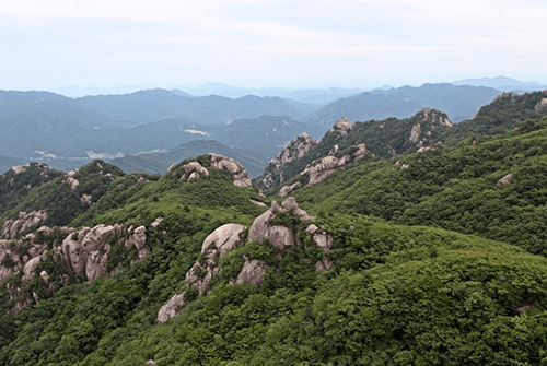 신선대05