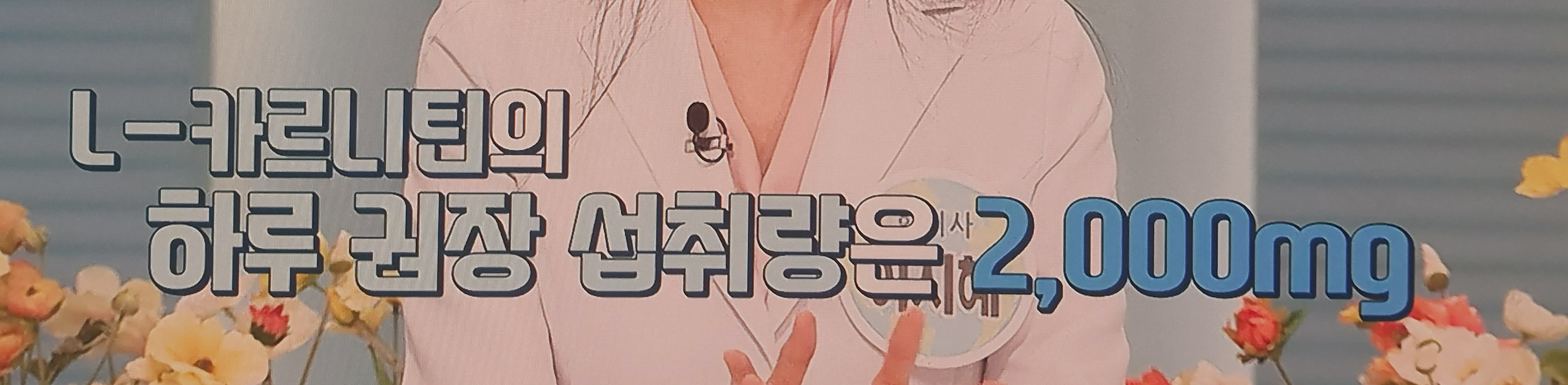 L-카르니틴 하루 권장 섭취량