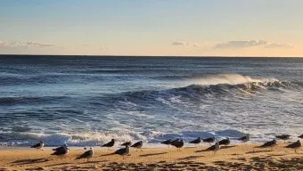 경포대 해수욕장 여름 물놀이 여행지와 맛집 코스 정리_14