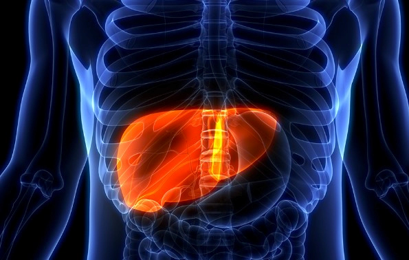 간수치 정상범위