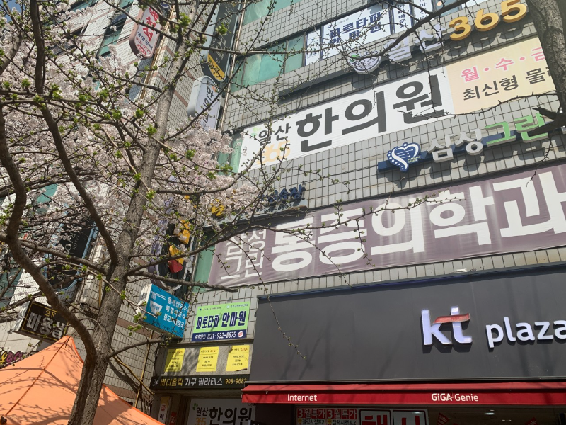 고양시 풍산동 정형외과 유명하고 잘하는 곳 추천 TOP 5