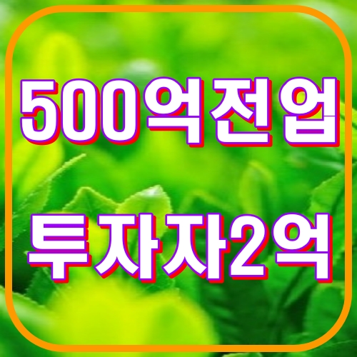 500억 전업투자자 2억