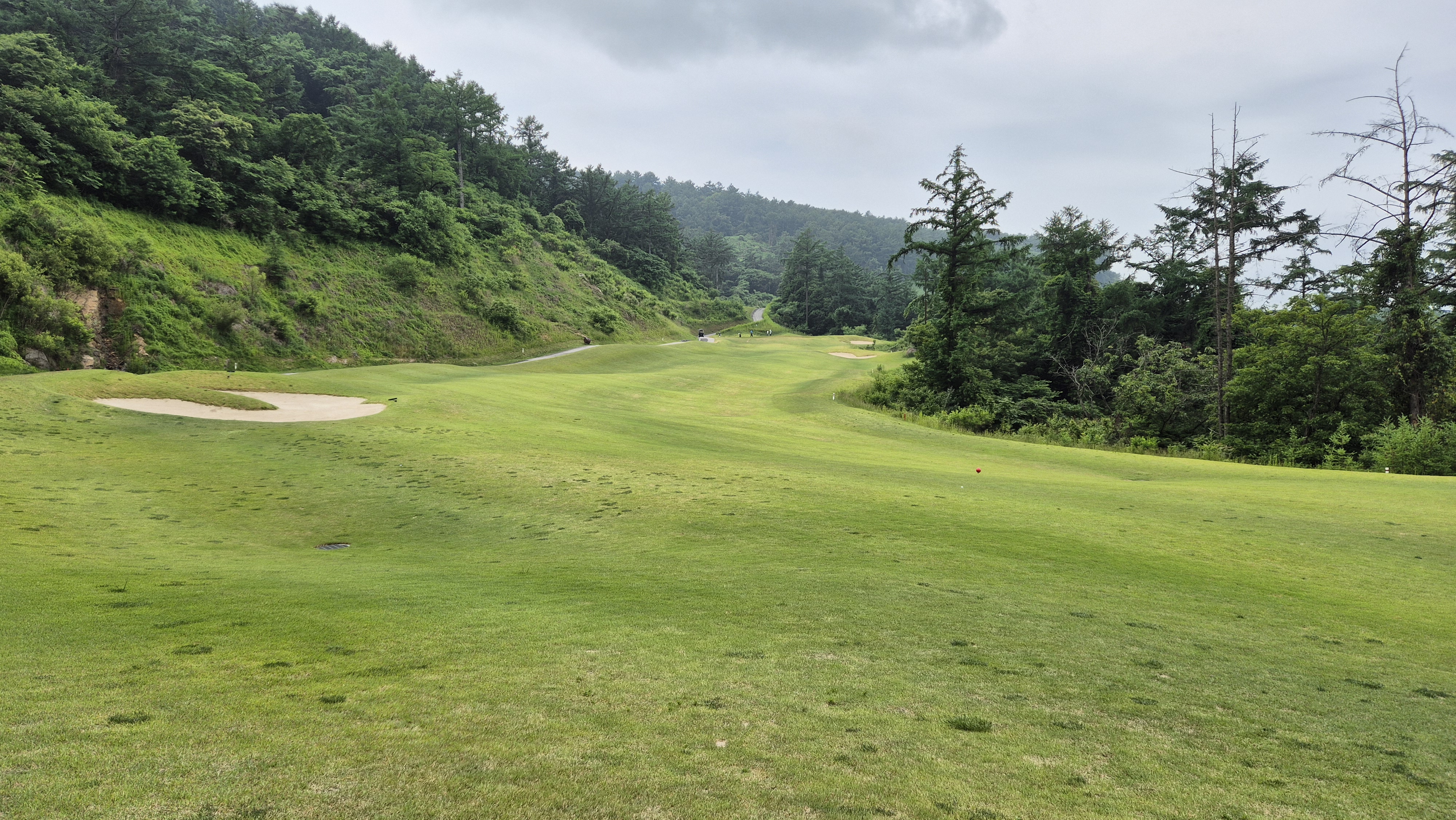 샴발라cc 라운드 후기