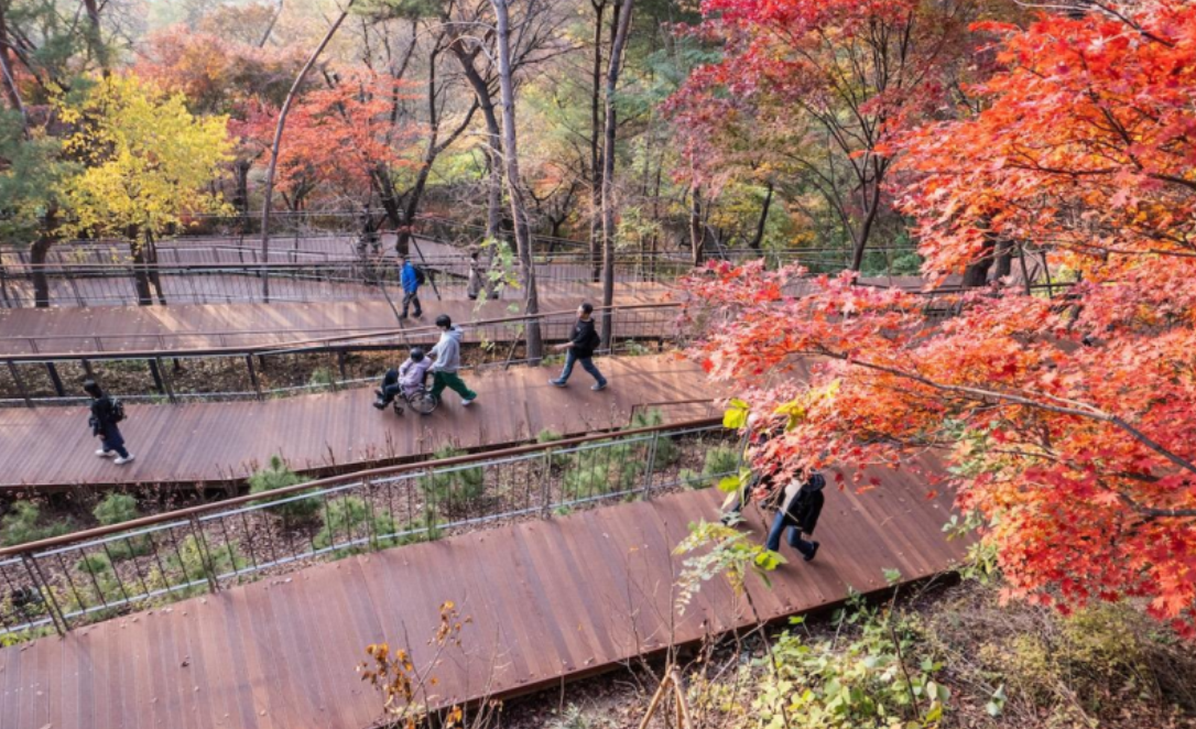 여행이 건강에 미치는 효과 이미지