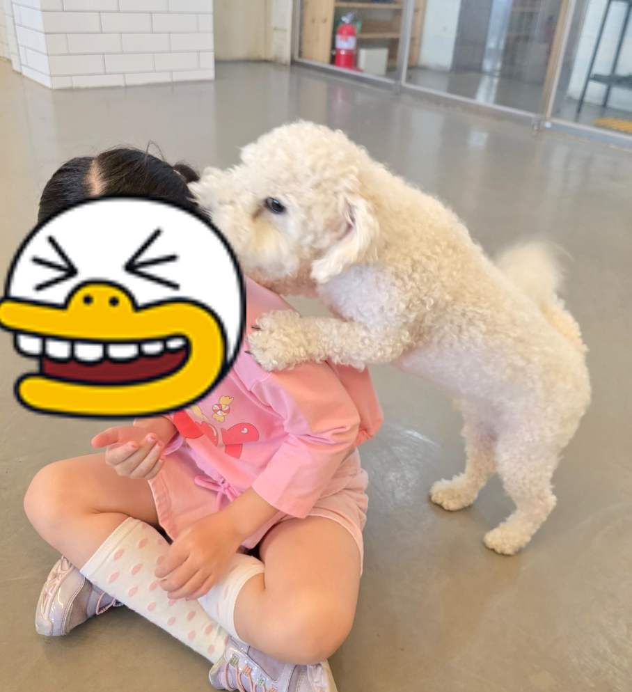 달라드는 강아지 사진