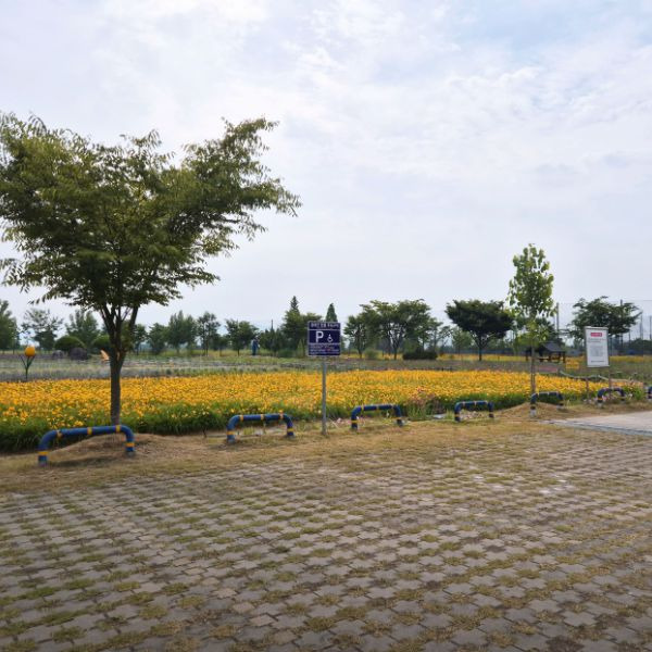 대산플라워랜드