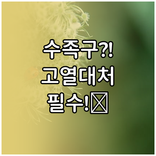 수족구 아이 고열과 물집 대처하는 법..