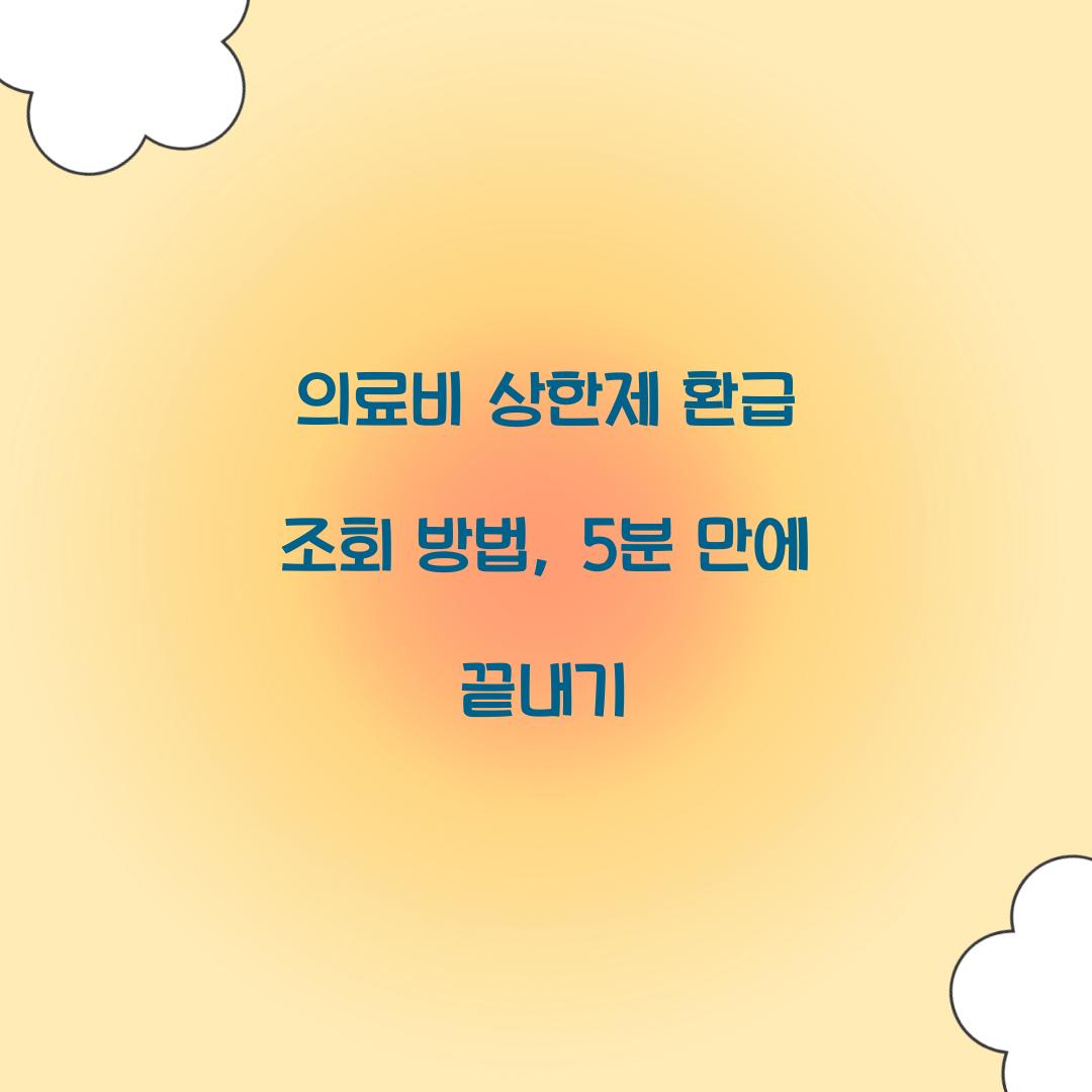 의료비 상한제 환급