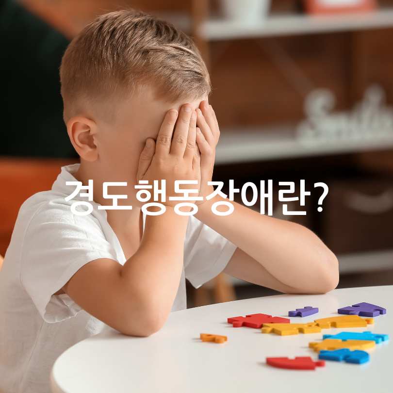 경도행동장애 증상, 원인, 관리법