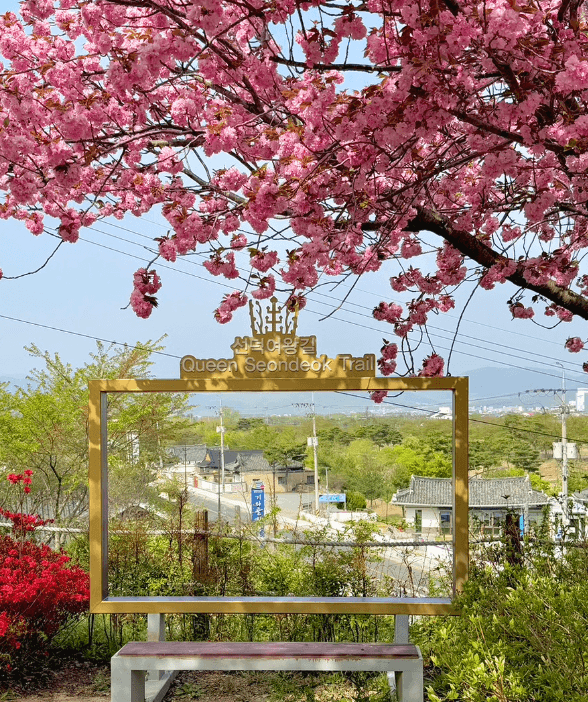 경주선덕여왕길