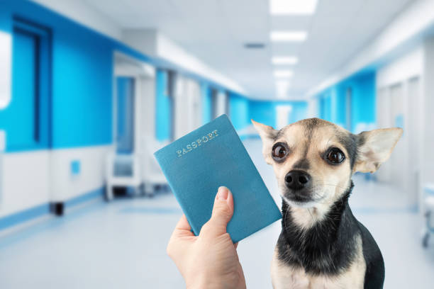 등록 방법 (내장형 vs 외장형 vs 인식표)